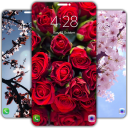 Flowers Wallpapers 4K [UHD]