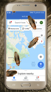 Roach Crawling on Screen Prank App screenshot 1