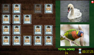 All Animals Pairs Memory Game screenshot 18