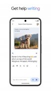 Google Gemini screenshot 4