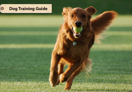 Dog Training Guide 2018 screenshot 2