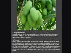 mango cultivation screenshot 7