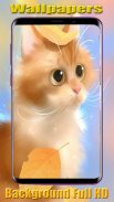 Cute cat wallpaper hd launcher screenshot 4