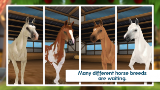 Horse Hotel - be the manager of your own ranch! screenshot 1