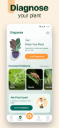 Plantum - 植物识别，叶子、花卉和树木护理 screenshot 5