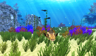 The Cobia screenshot 0