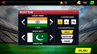 Real World Cricket Tournament screenshot 5