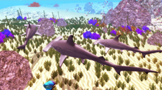 The Hammerhead Shark screenshot 5