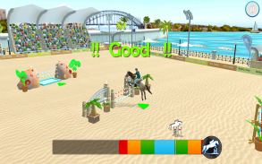 Real Horse Racing World Rider screenshot 4