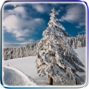 Winter Video Live Wallpaper Icon