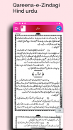 Qareena-e-Zindagi In Hind urdu screenshot 12