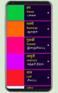 Learn Hindi from Tamil Pro screenshot 12