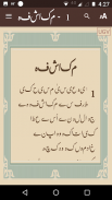 Urdu Injeel Sharif screenshot 1