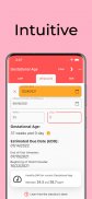 Gestational Age (baby's age) screenshot 2