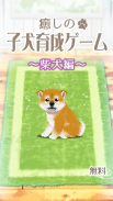 癒しの子犬育成ゲーム〜柴犬編〜 screenshot 8