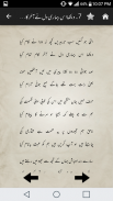 Kulliyat-e-Meer screenshot 13