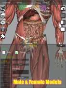 3D Bones and Organs (Anatomy) screenshot 6