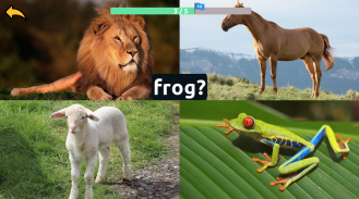 Learn Animals Names in English Pictures Words Quiz screenshot 5
