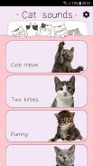Cat Sounds screenshot 6