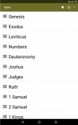 Pentecostal Bible offline KJV screenshot 3