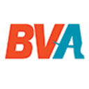 BVA Export