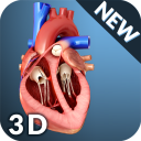 Heart Anatomy Pro. Icon