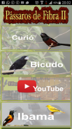 Bicudos e Curiós screenshot 5