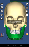 3D Bones and Organs (Anatomy) screenshot 14