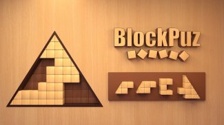 BlockPuz: Wood Block Puzzle screenshot 0