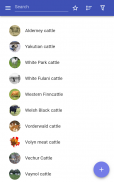 Cattle breeds screenshot 6