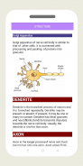 Nervous System Physiology screenshot 2