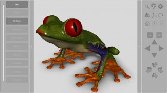 3D Frog Skeleton screenshot 15