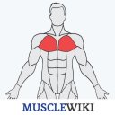 MuscleWiki Fitness Icon