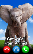 Video call from sound of animals - Text simulation screenshot 3