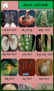 Onion Kannada screenshot 1