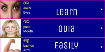 Learn Odia From English screenshot 4