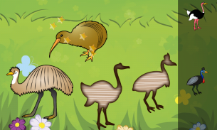 小鸟游戏的孩子游戏为幼儿的鸟类物种 screenshot 4