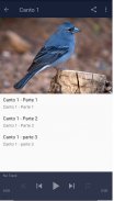 Canto Pinzon screenshot 5