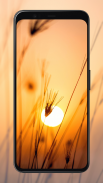 Sunrise Wallpapers screenshot 5