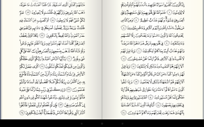 Quran for Android screenshot 8