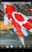 Interactive Koi Fish 3D screenshot 3