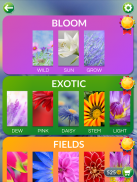 Word Flowers screenshot 7
