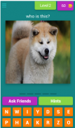 dog breeds quiz screenshot 18