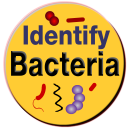 Bacteria Identification Made Easy | Free & Offline