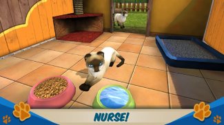 PetWorld: Animal Shelter LITE screenshot 5