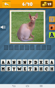 Cats Quiz screenshot 2