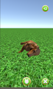 Köpek yavrusu screenshot 4