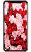 Red Rose Flower Lock Screen, Red Rose wallpapers screenshot 0