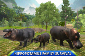 Wild Hippo Beach Attack Jungle Simulator screenshot 13