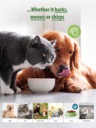 zooplus - online pet shop screenshot 3